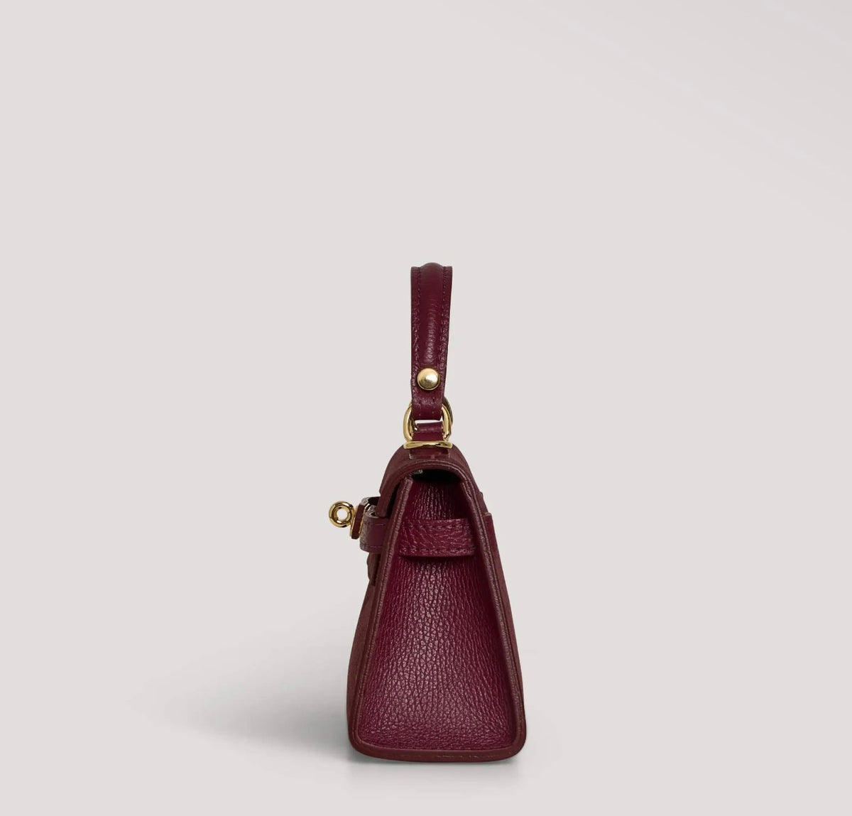 Janáe Mini Handbag — Bordeaux Suede