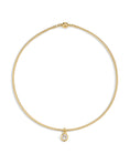 Load image into Gallery viewer, The Georgia Stone Omega Necklace
