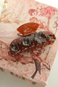 Load image into Gallery viewer, Fleur de Miel Clip
