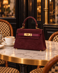 Load image into Gallery viewer, Janáe Mini Handbag — Bordeaux Suede
