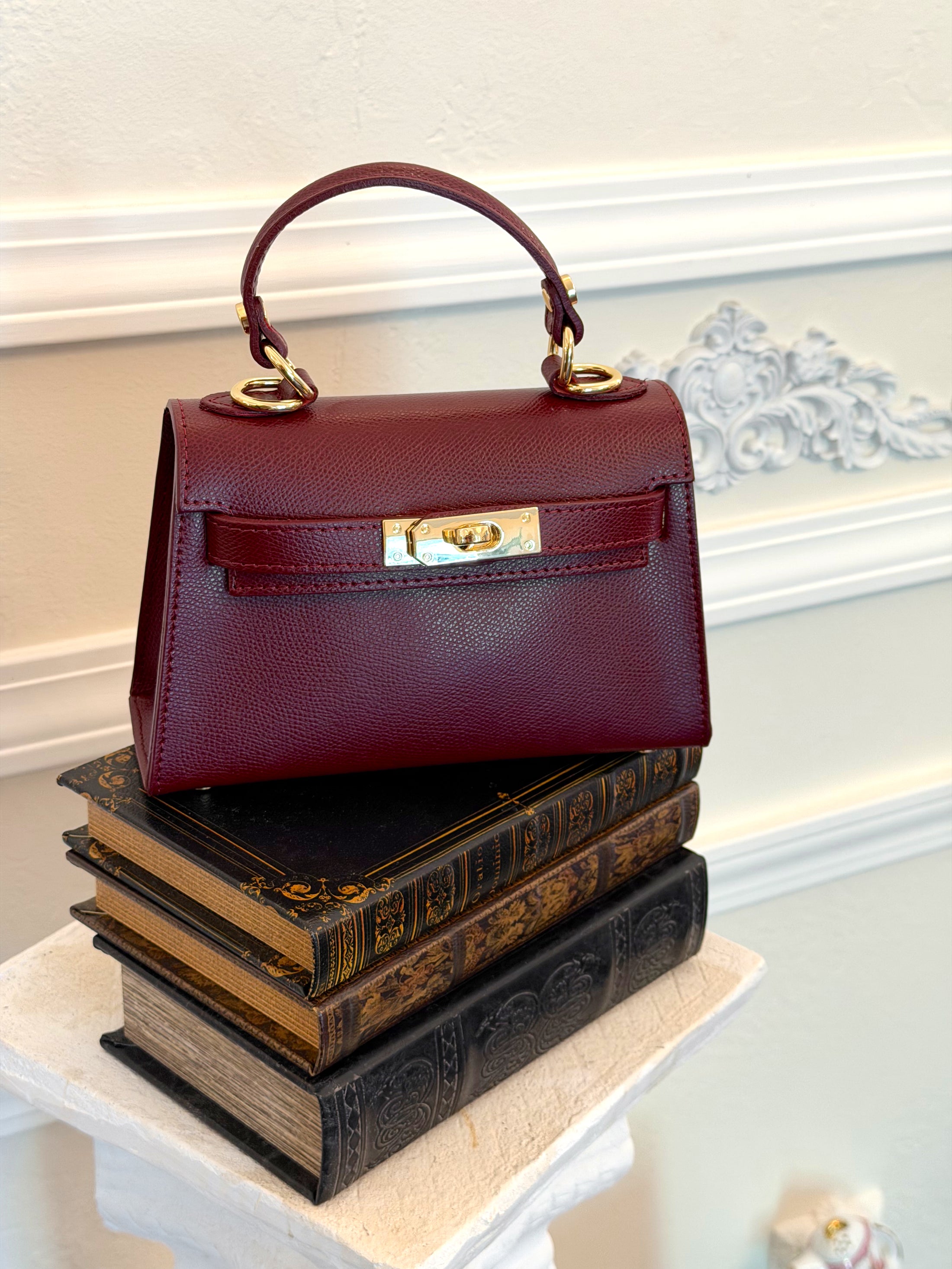 The Janáe Mini Bag - Cabernet