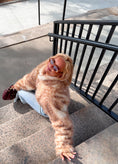 Load image into Gallery viewer, The Chalet Fawn Half Zip Fur Preorder 10.01
