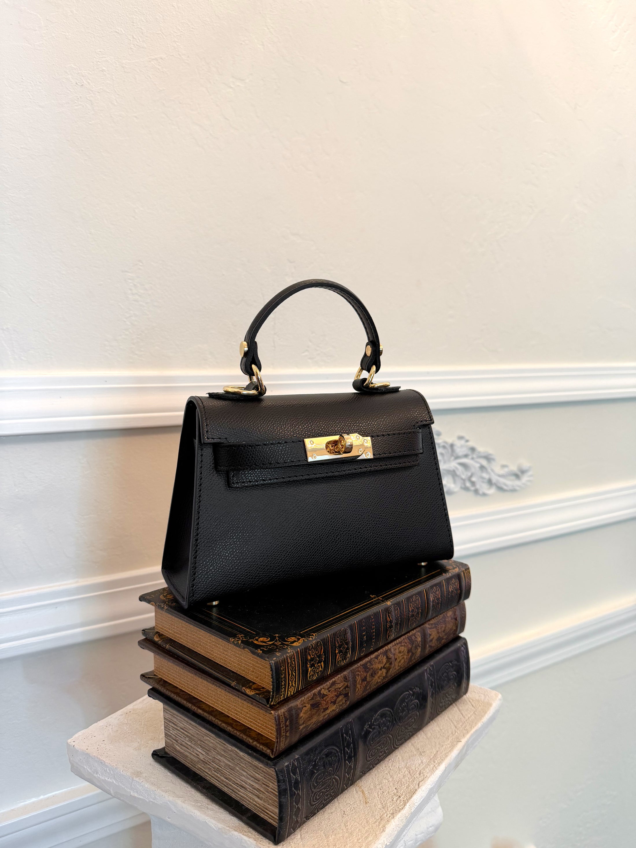 The Janáe Mini Bag - Noir Preorder 8.31